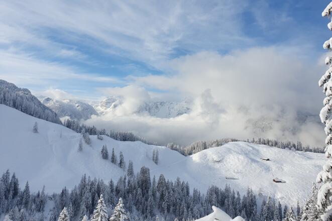 Winterbild_18