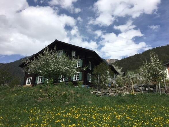 Dependance im Frühling