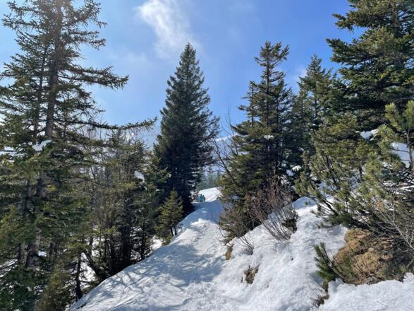 Unterwegs auf der Schneeschuhroute zwischen Palüdhütte und Niggenkopf Terrasse