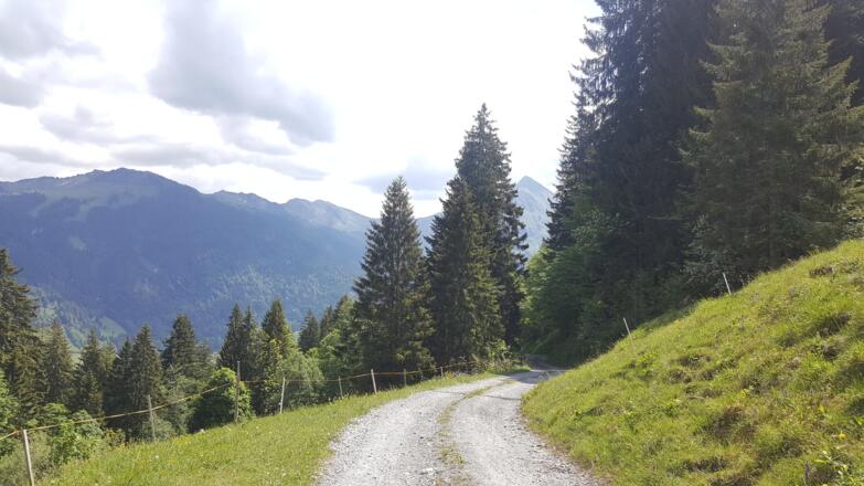 Güterweg zur Godlachalpe