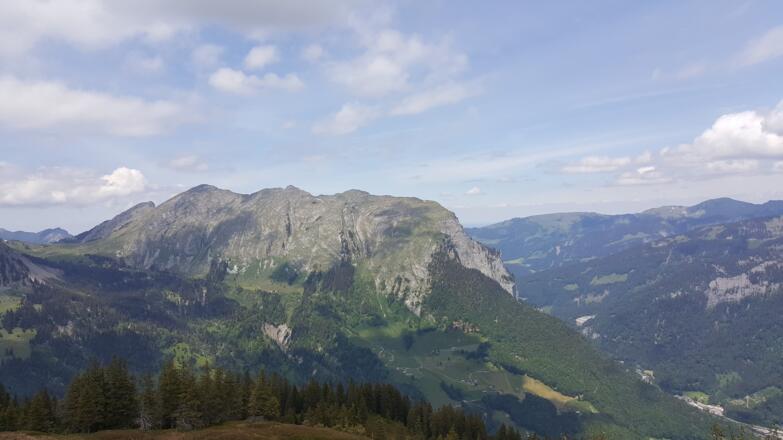 Blick auf die Kanisfluh vom Lug