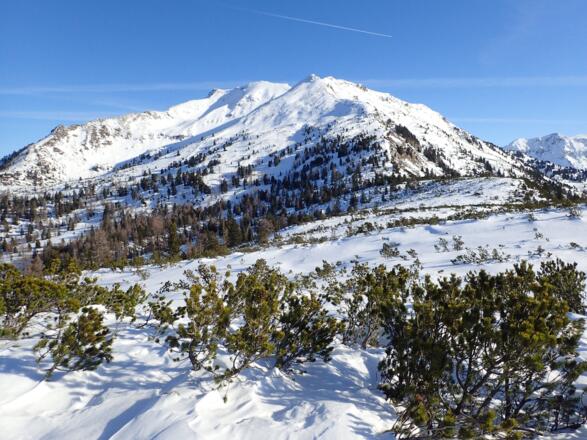 Blick hinüber zur Seekarschneid und zum Seekareck