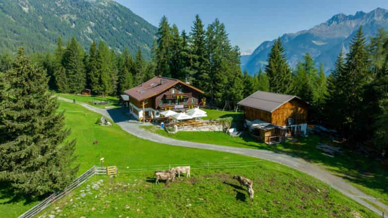 Wurzbergalm Sommer