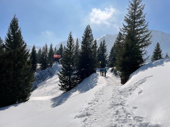 Auf dem Rückweg - kurz vor der Palüdhütte