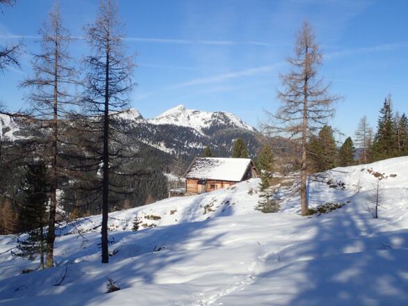 Bärwurzkaralm