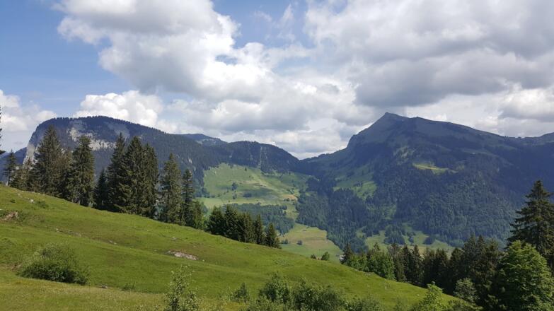 Blick von der Godlachalpe