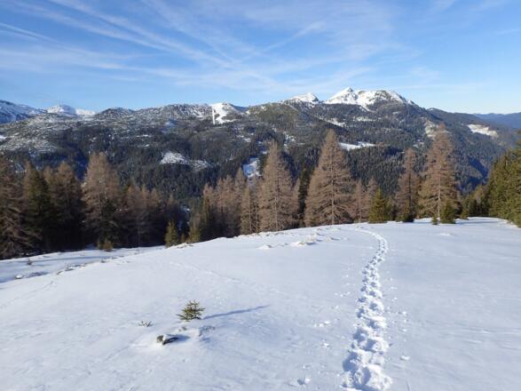 Blick Richtung Strimskogel