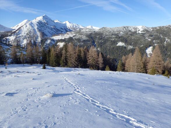 Zauchenseer Skigipfel