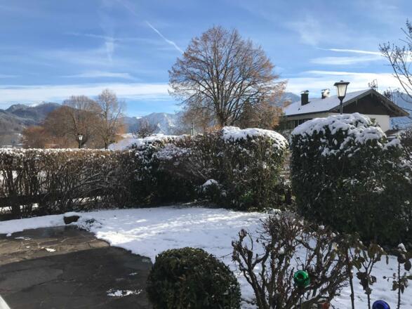 Der Garten im Winter