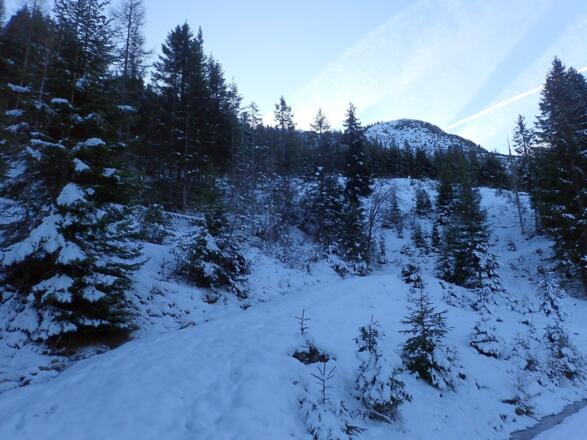 Abzweigung des Ziehweges zur Bärwurzkaralm