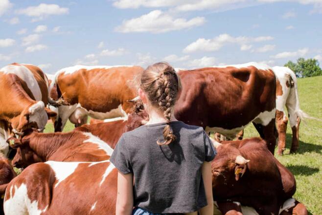 Landwirtschaft