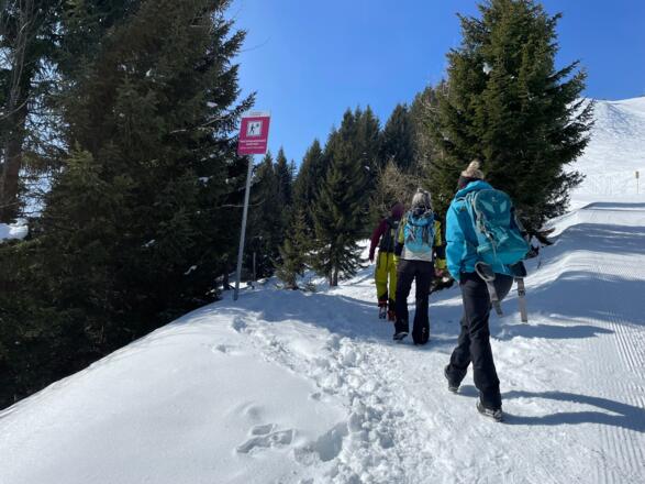 Abzweigung Richtung Palüdhütte - vom Niggenkopf kommend