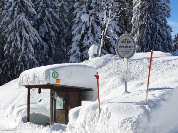 Bushaltestelle Mittelalpe