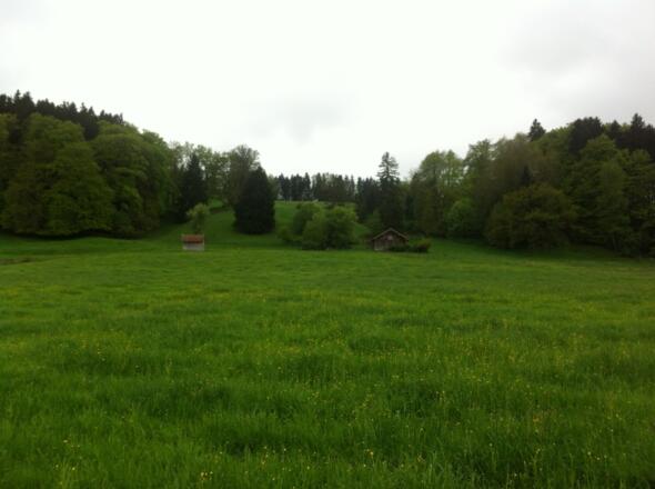 Diese Etappe führt durch die saftigen Wiesen des Pfaffenwinkels.