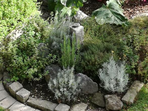 Auch für Sie ist ein Kräutlein gewachsen