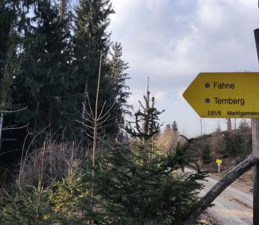 Windhagertrail - Ternberg