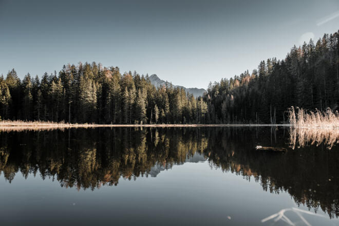 Amberger See