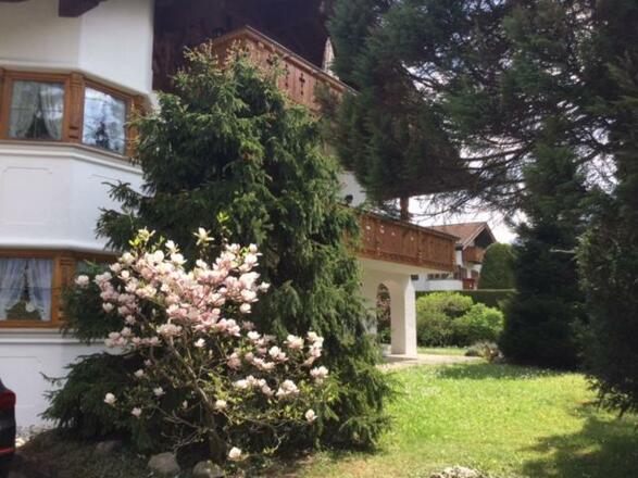 Ausschnitt Garten