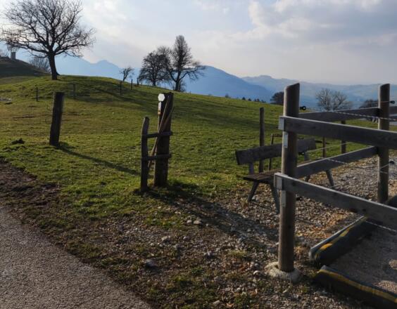 Windhagertrail - Ternberg