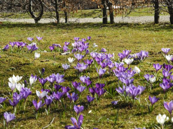 Urlaub Allgäu Nesselwang-015