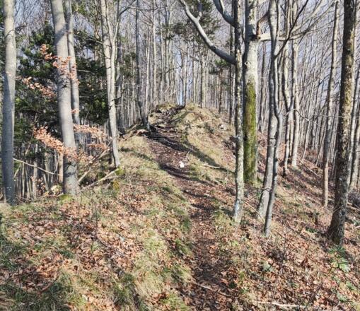 Windhagertrail - Ternberg