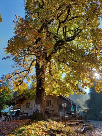 https://images.bs.ds-srv.net/objekt_pics/obj_full_31400_013.jpg