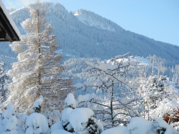 Balkonblick FeWo Bergblick
