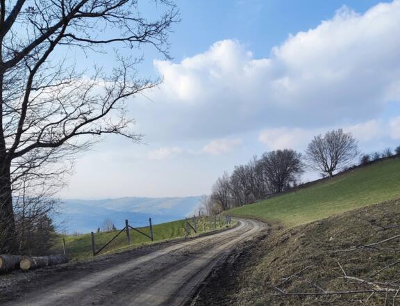 Windhagertrail - Ternberg