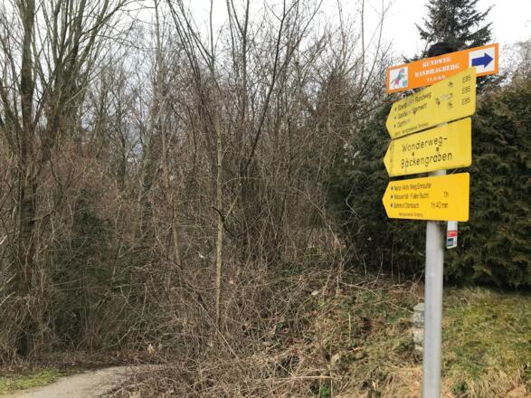 Trailrun - Ternberg - Bäckengraben