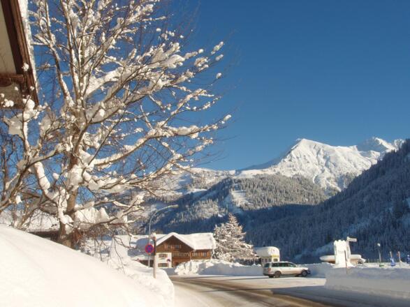 Winter