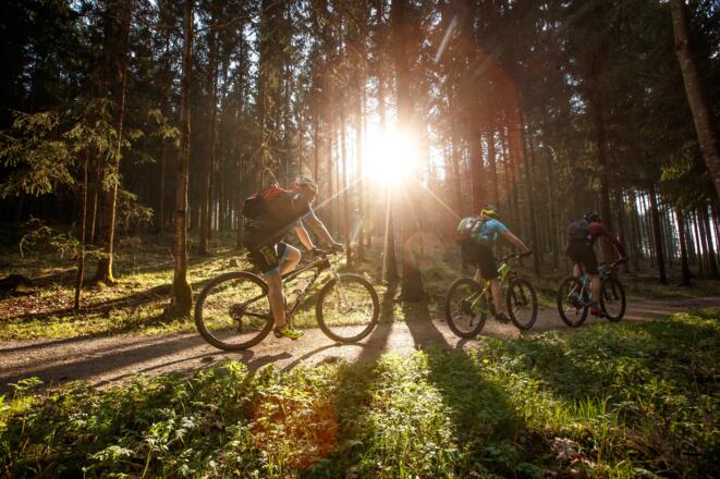 Mountainbiken in Neufelden
