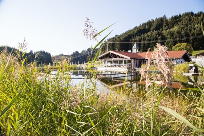 Natursee Herbst-26125 17. September 2018_-min