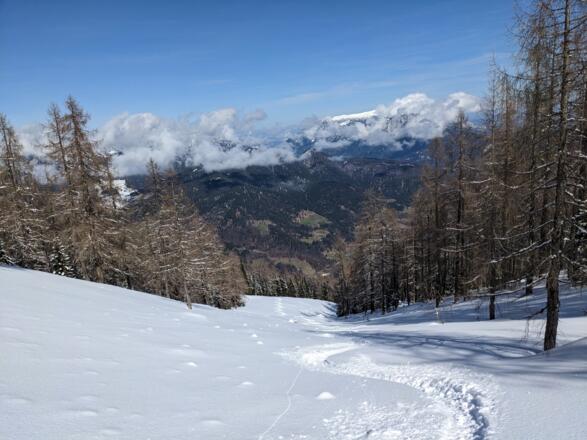 Gugl_5