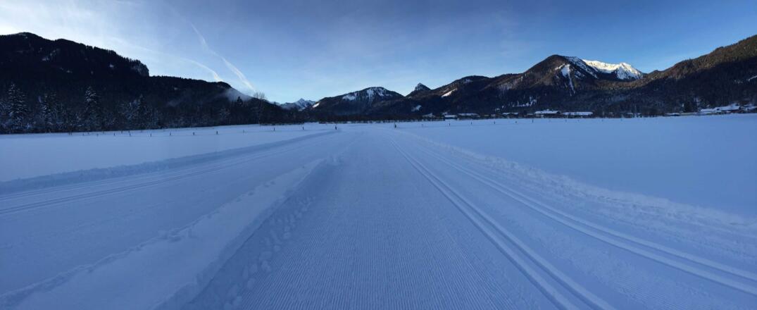 Langlaufloipe Pförn/Scharling