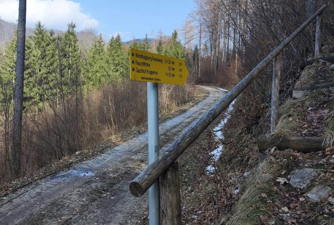 Windhagertrail - Ternberg