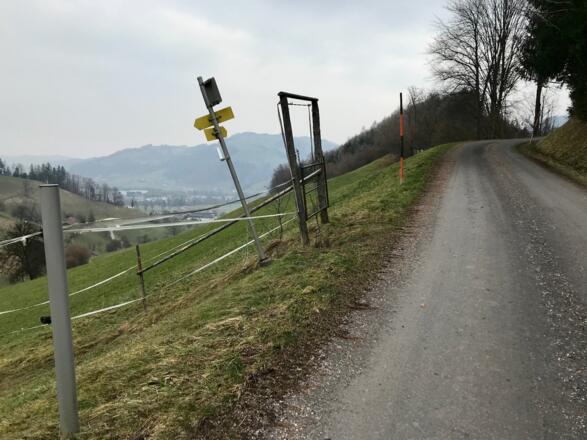 Trailrun - Ternberg - Bäckengraben