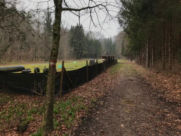 Trailrun - Ternberg - Bäckengraben