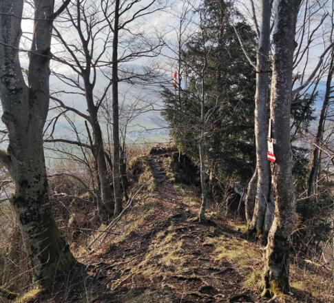 Winhagertail - Ternberg