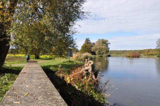 Wanderin am Amperstausee in Schöngeising