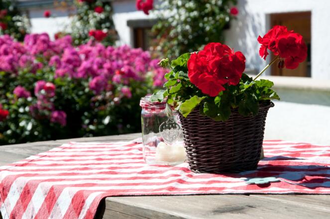 Sitzplatz im Garten