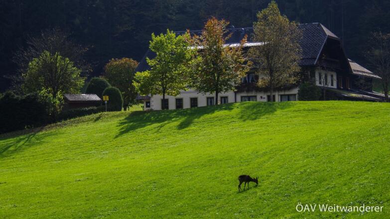 Beim Hochlackenhof