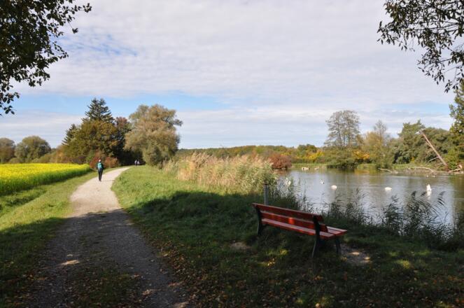 Wanderweg entlang der Amper in Schöngeising