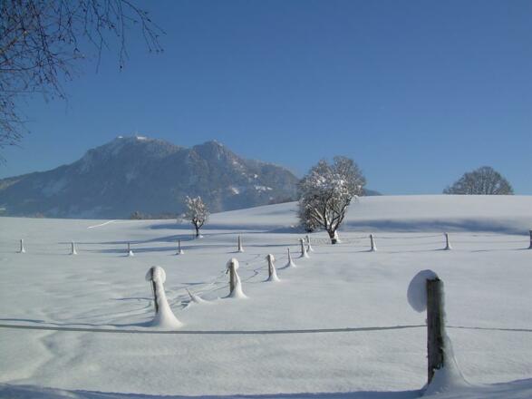Winterlandschaft mit Grünten