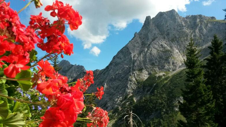 Bergblick