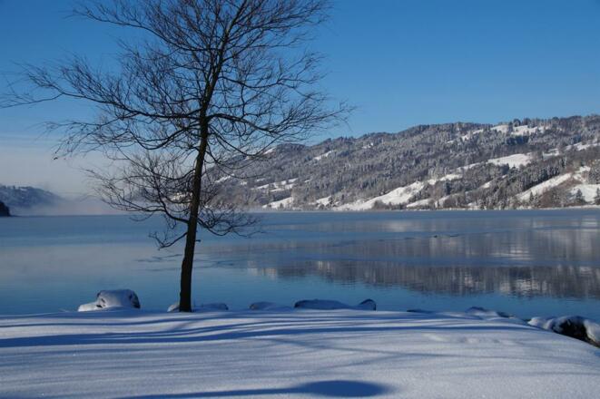 Winteridylle