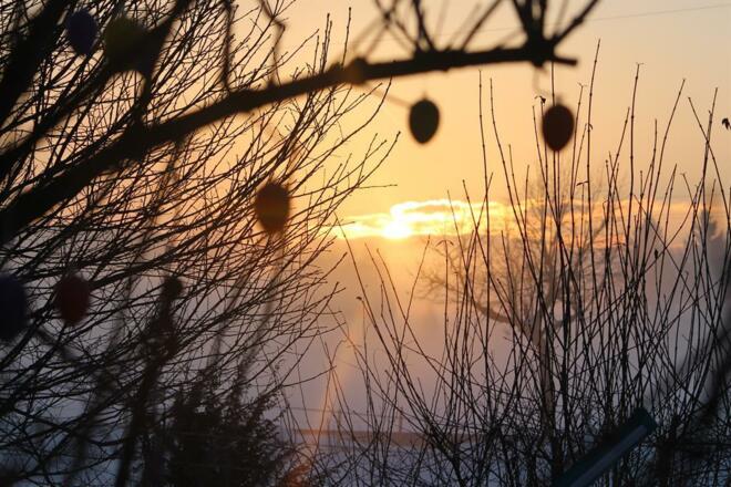 Morgenstimmung