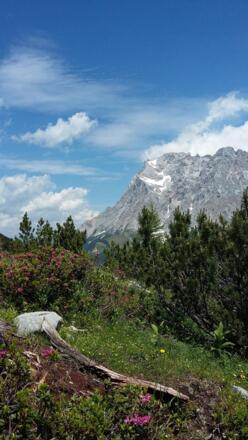 Blick auf die Zugspitze