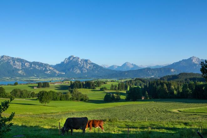 Ihr Bergblick