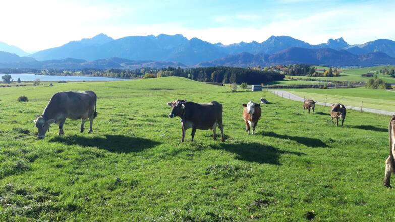 Fotos Kamera Corinna 078