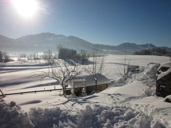 winter 2015 105